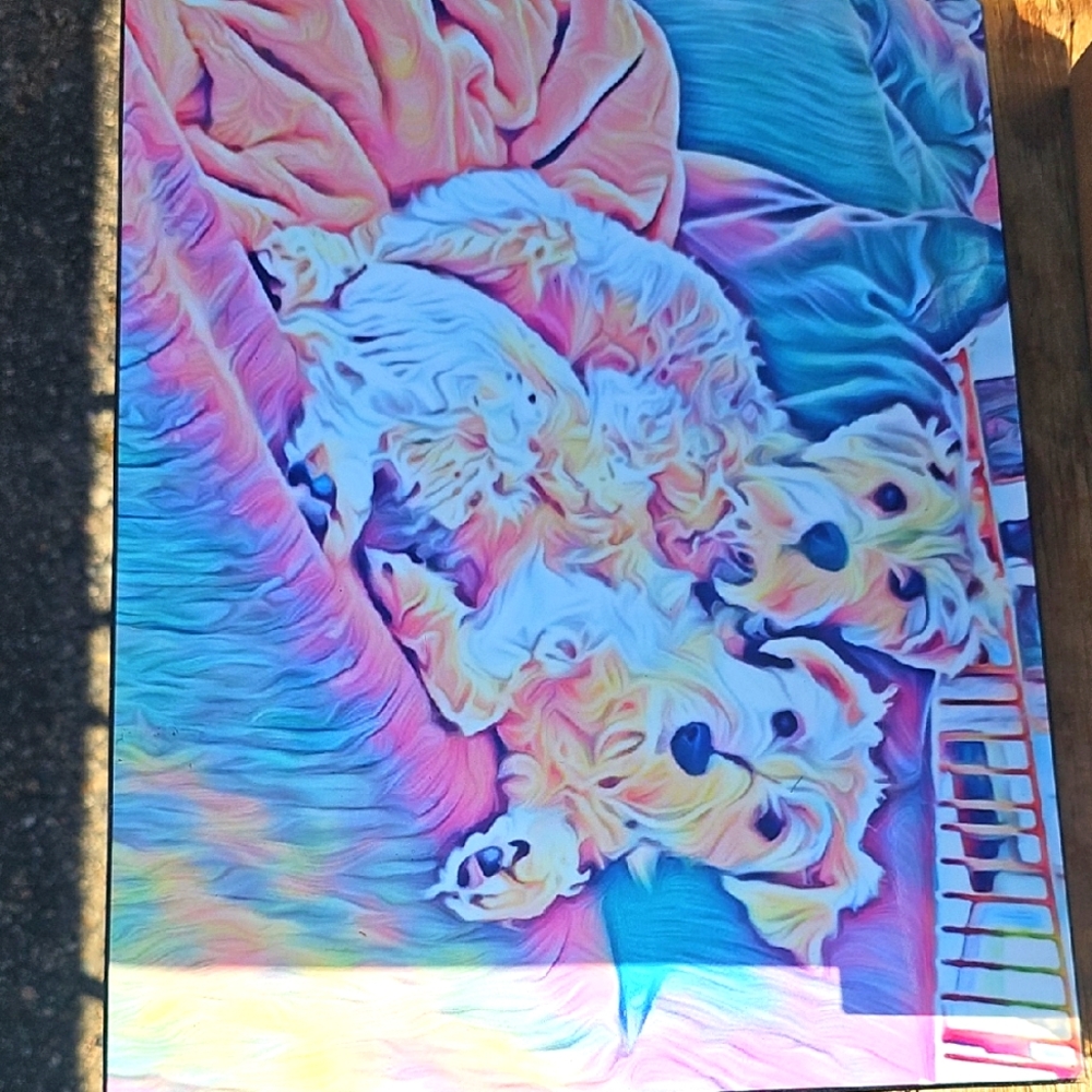 Colorful Dog Art Print